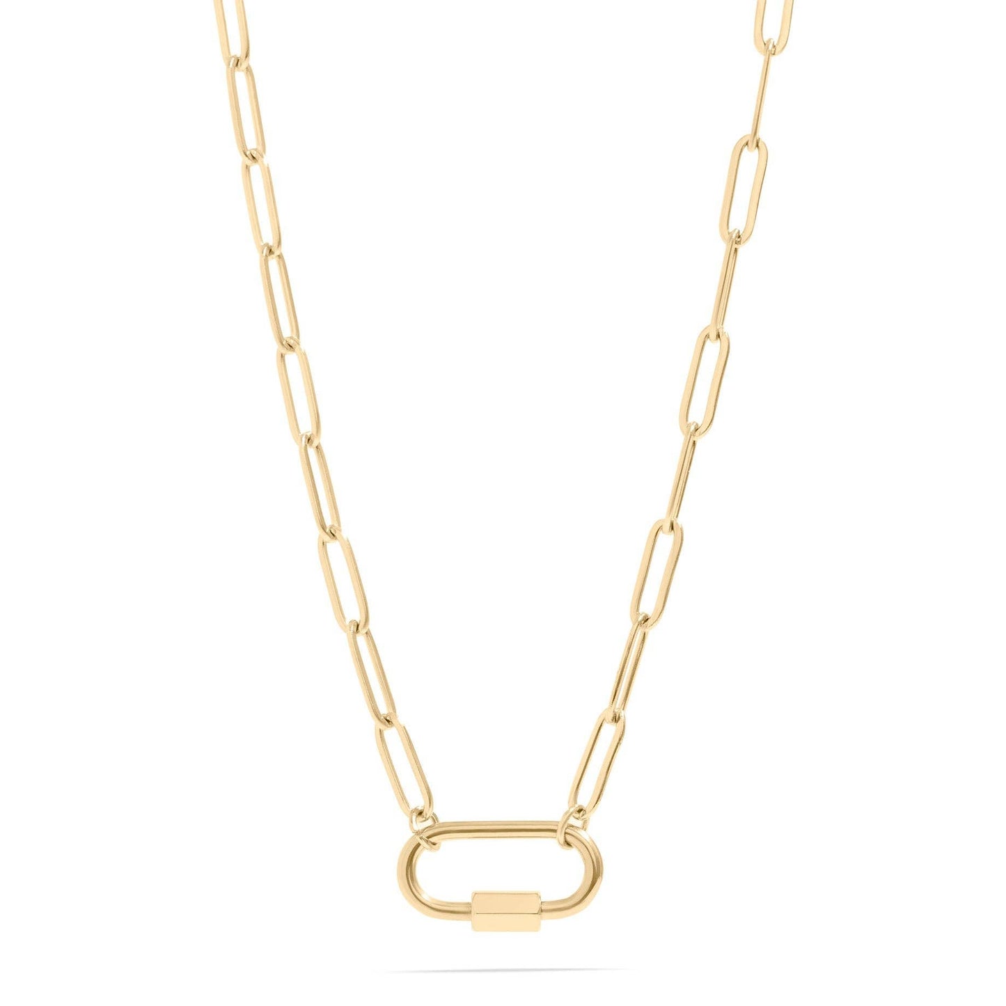 Paperclip Carabiner Necklace