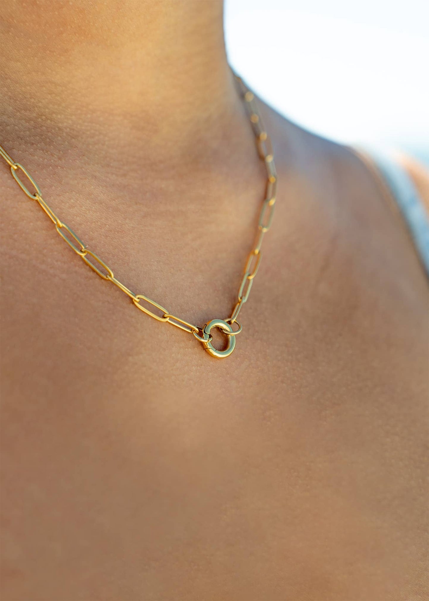 Paperclip Carabiner Charm Holder Necklace