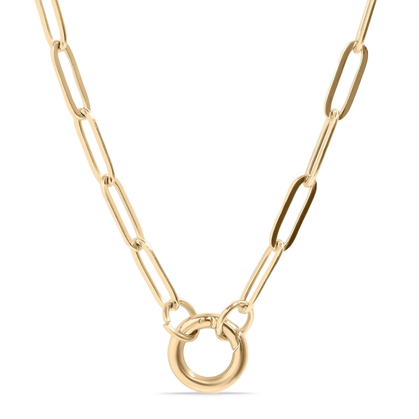 Paperclip Carabiner Charm Holder Necklace